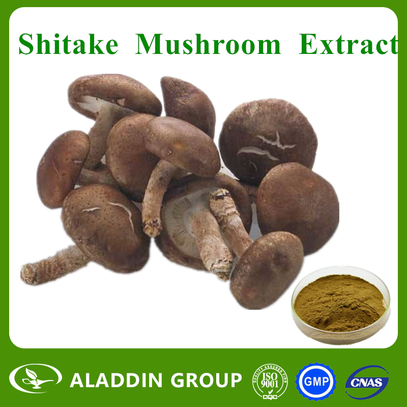 Shitake Mushroom Extract