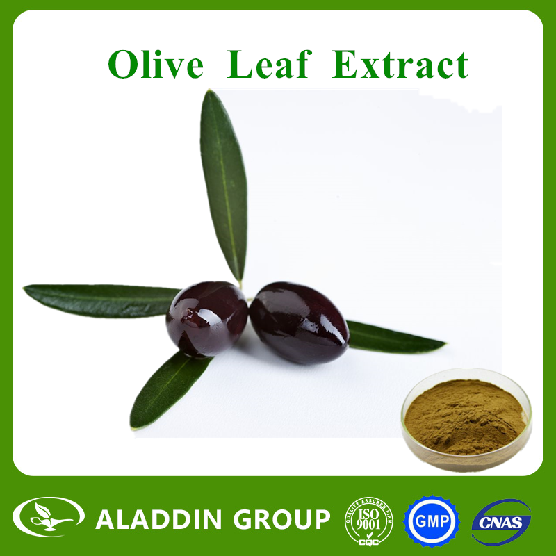 Olive Leaf Extract