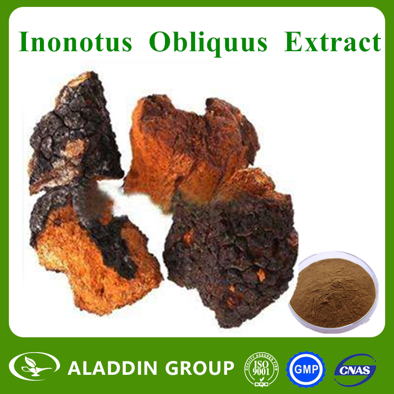 Inonotus Obliquus Extract