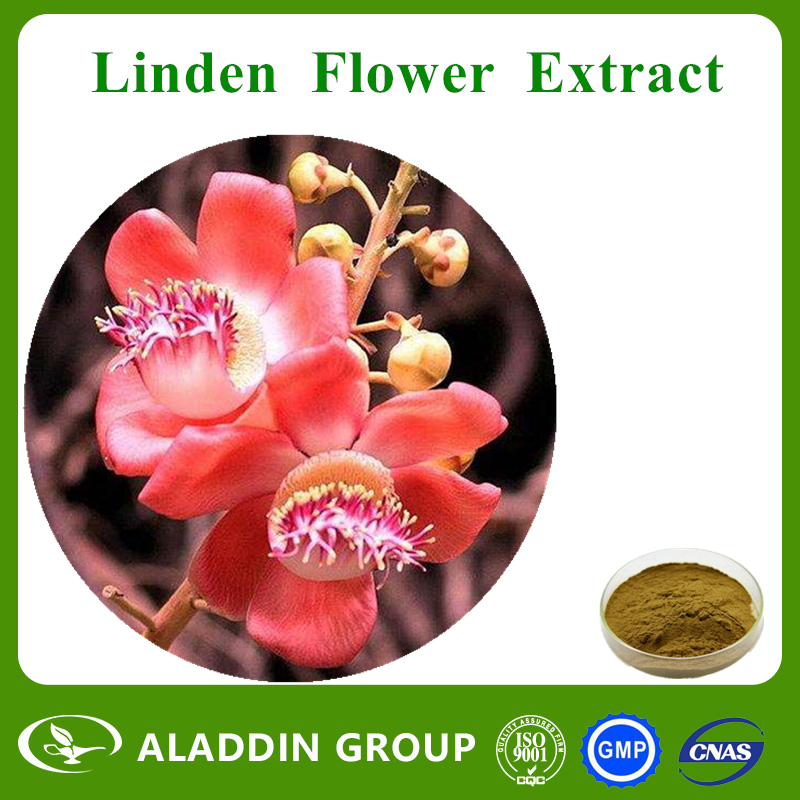 Linden Flower Extract