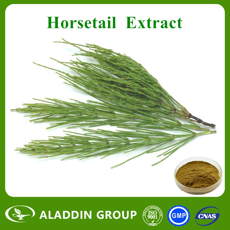 Horsetail Extract
