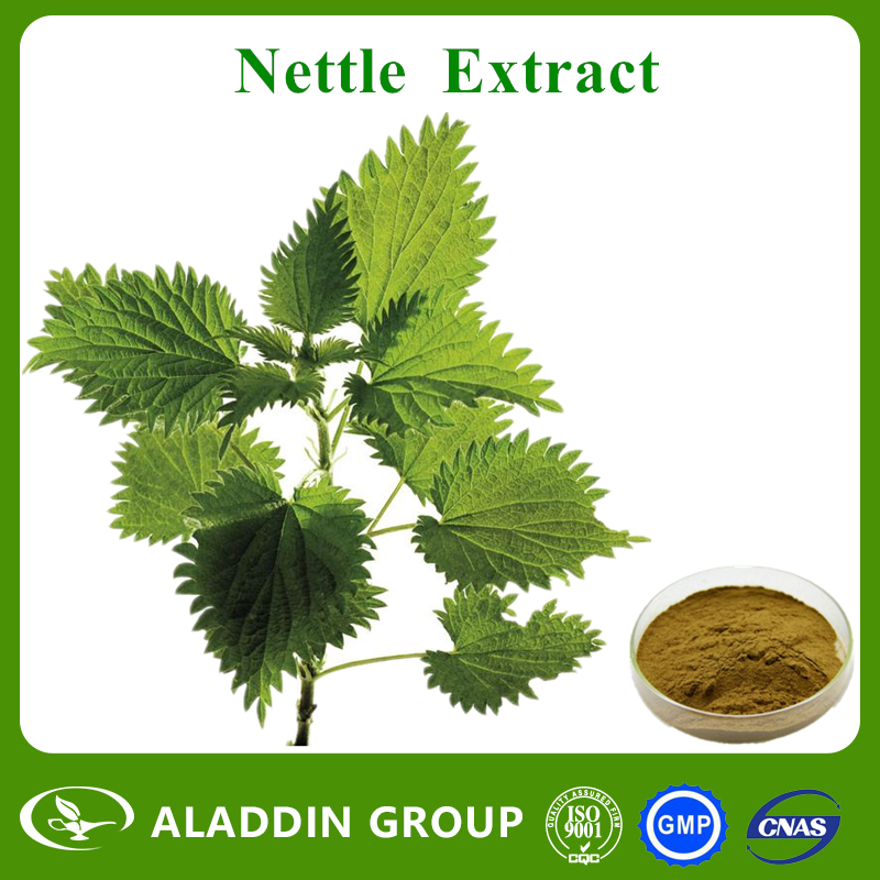Nettle Extract