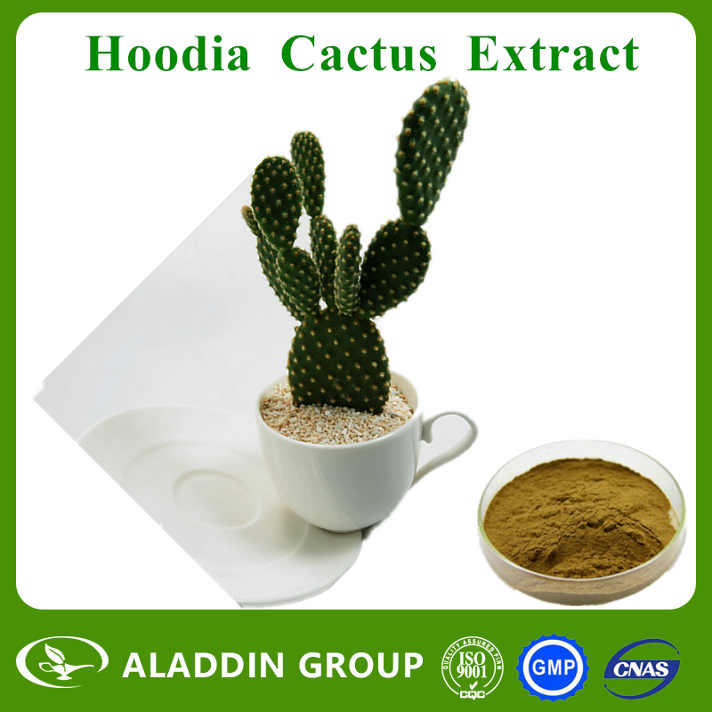 Hoodia Cactus Extract