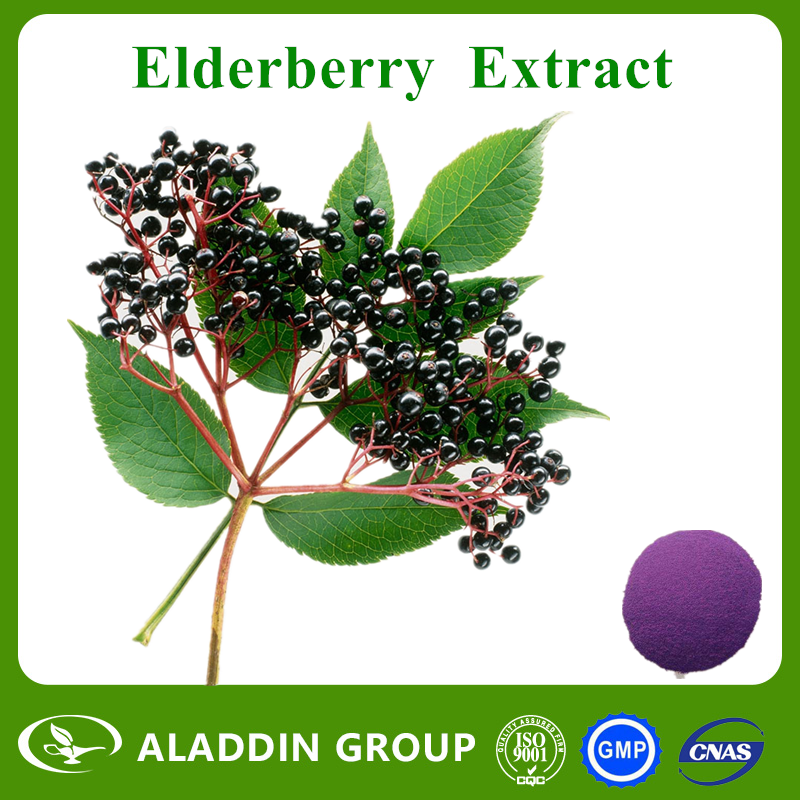 Elderberry Extract