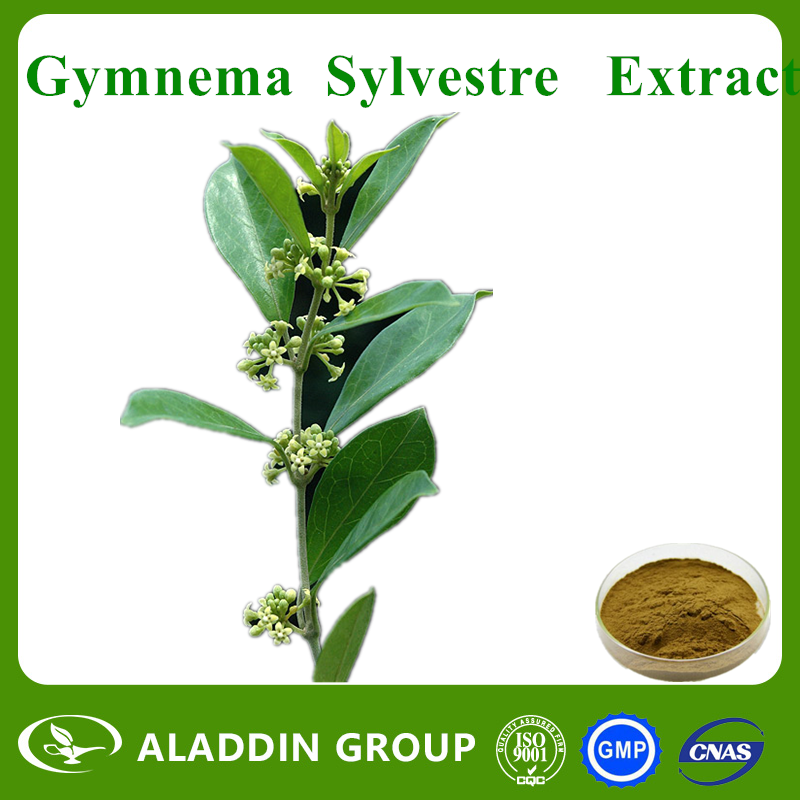 Gymnema Sylvestre Extract