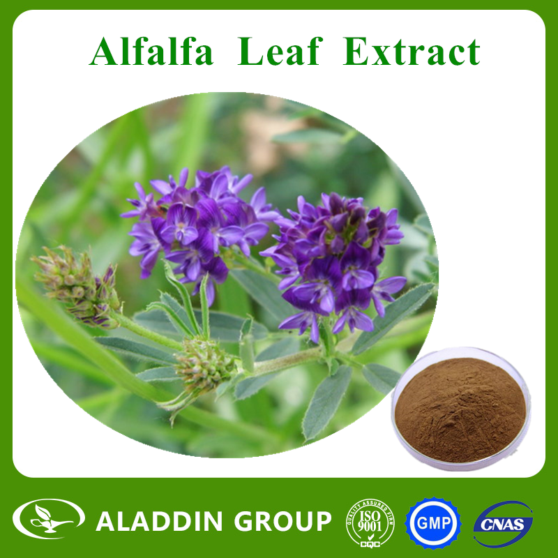 Alfalfa Leaf Extract