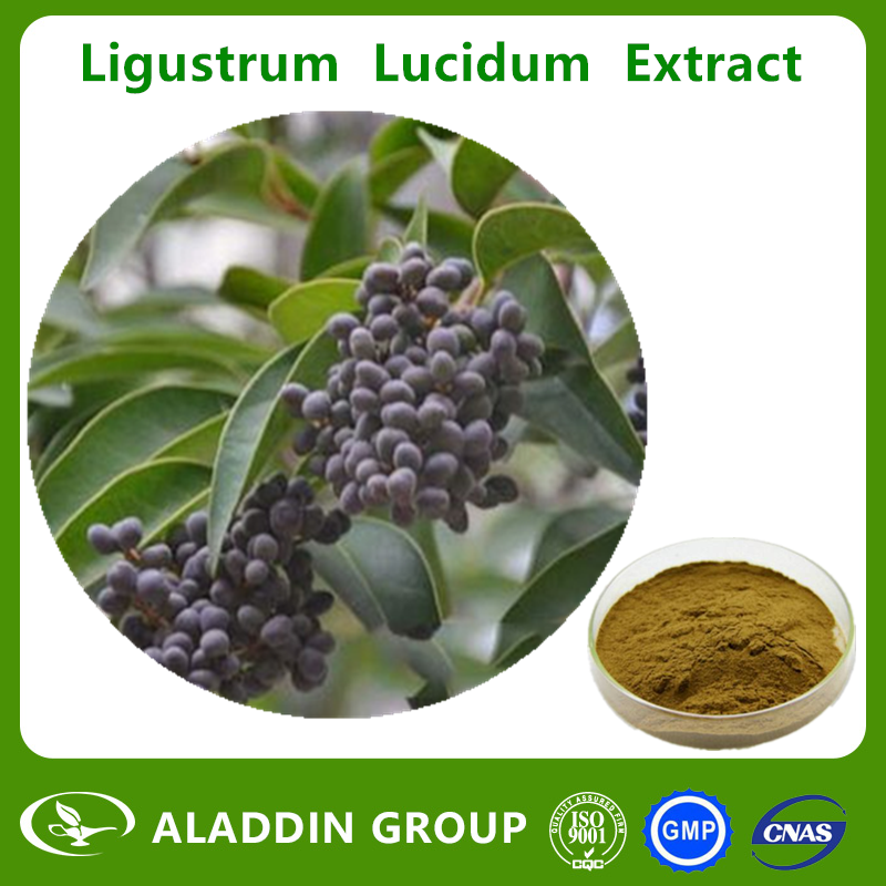 Ligustrum Lucidum Extract