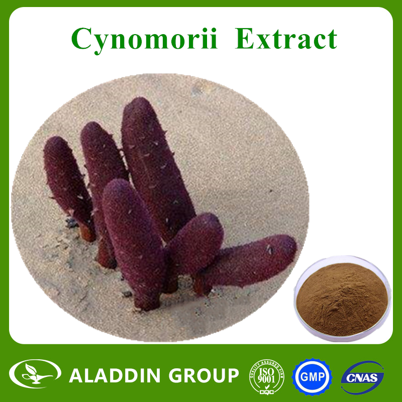 Cynomorii Extract