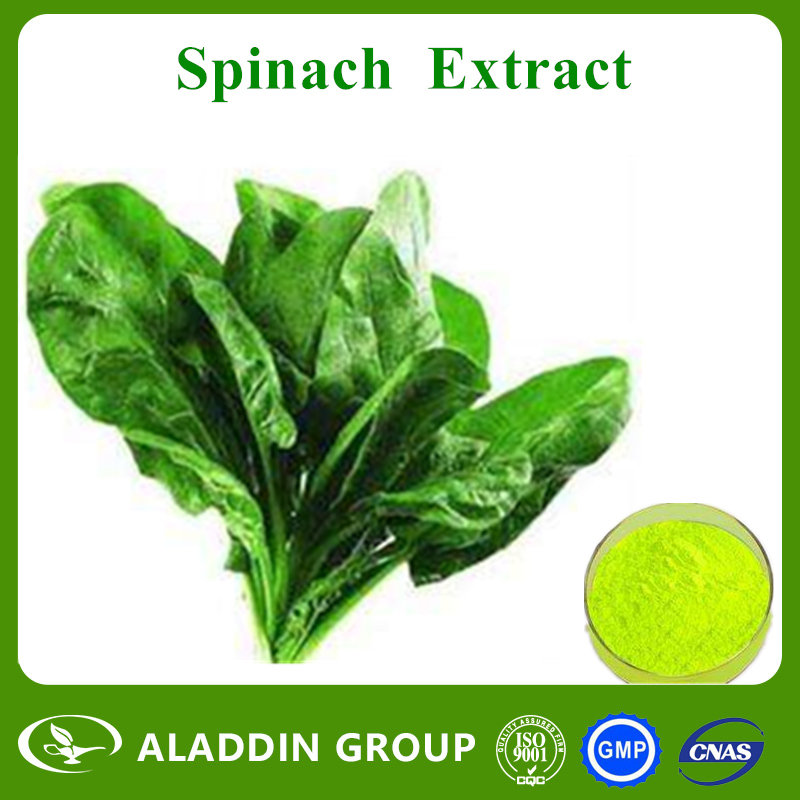  Spinach Extract 