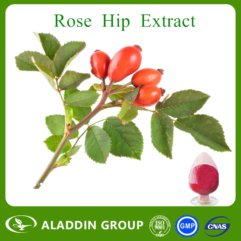Rose Hip Extract