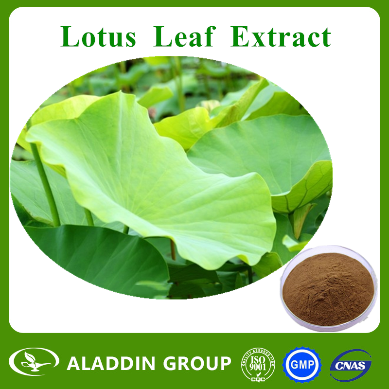 Lotus Leaf Extract