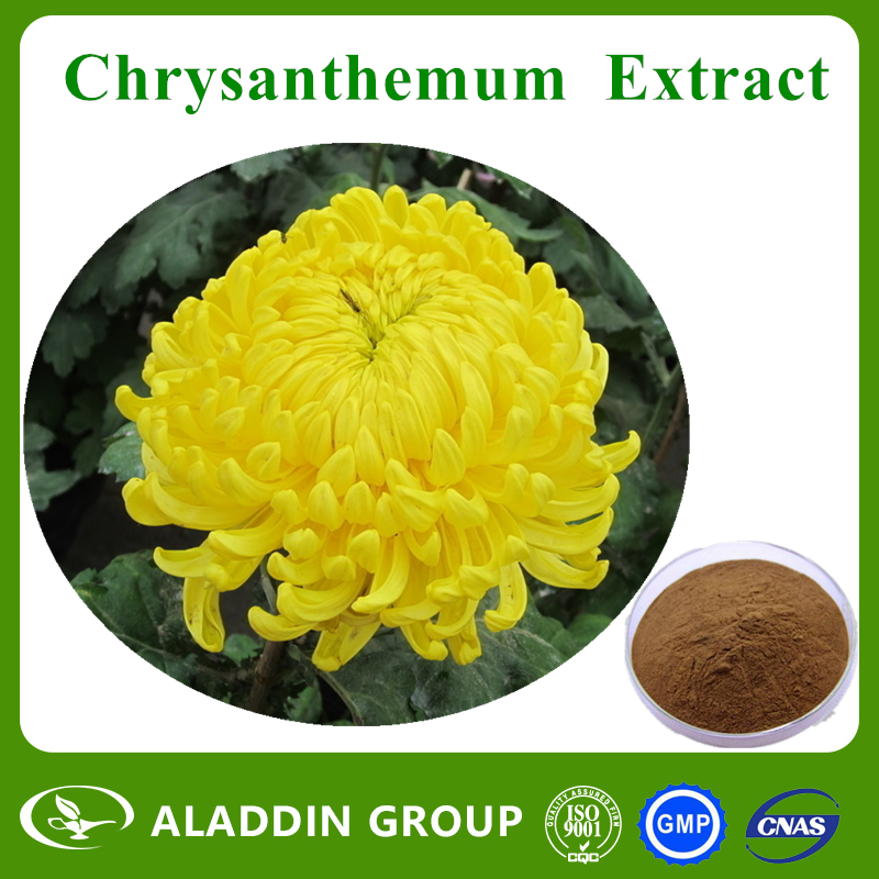 Chrysanthemum Extract