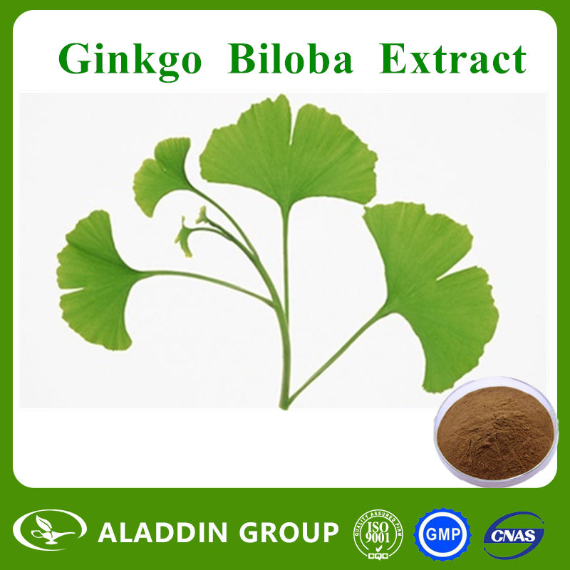 Ginkgo Biloba Extract