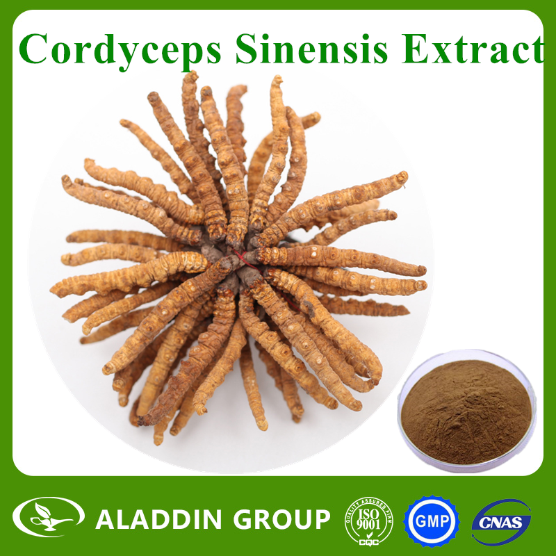 Cordyceps Sinensis Extract