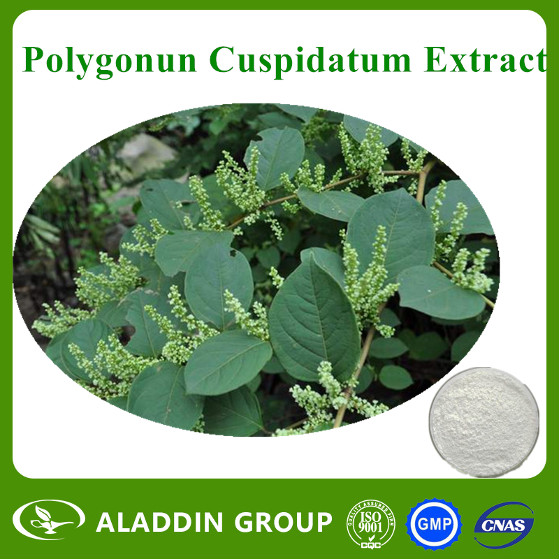 Polygonum Cuspidatum Extract