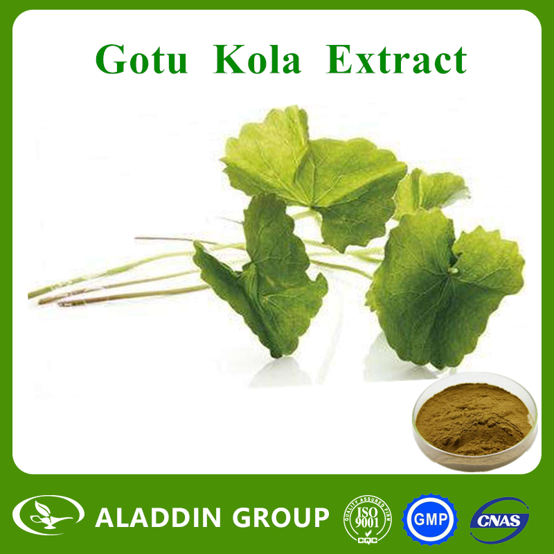 Gotu Kola Extract