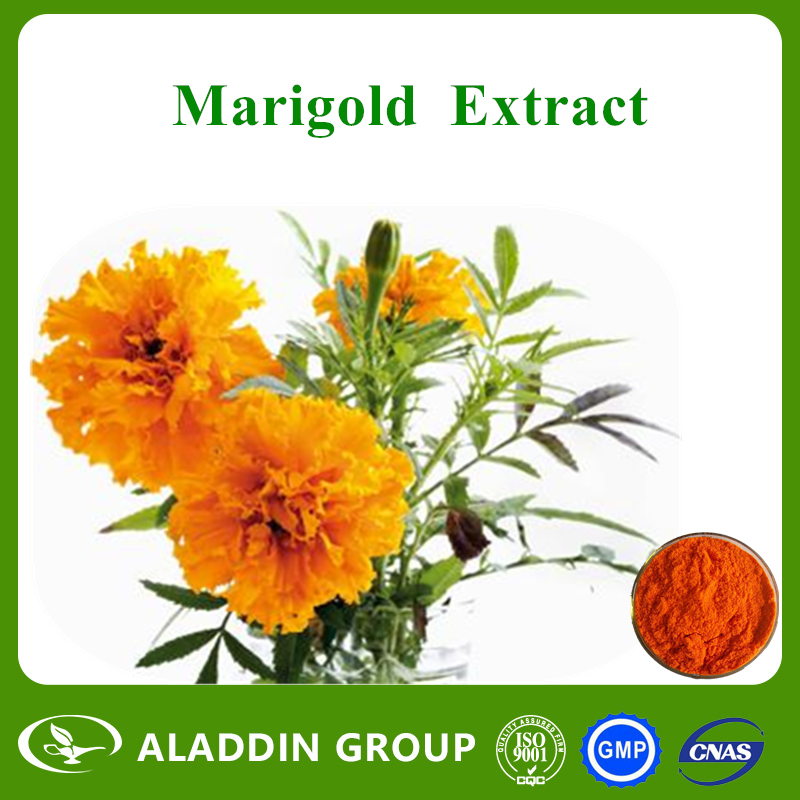 Marigold Extract