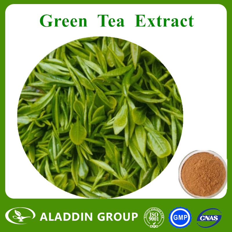 Green Tea Extract