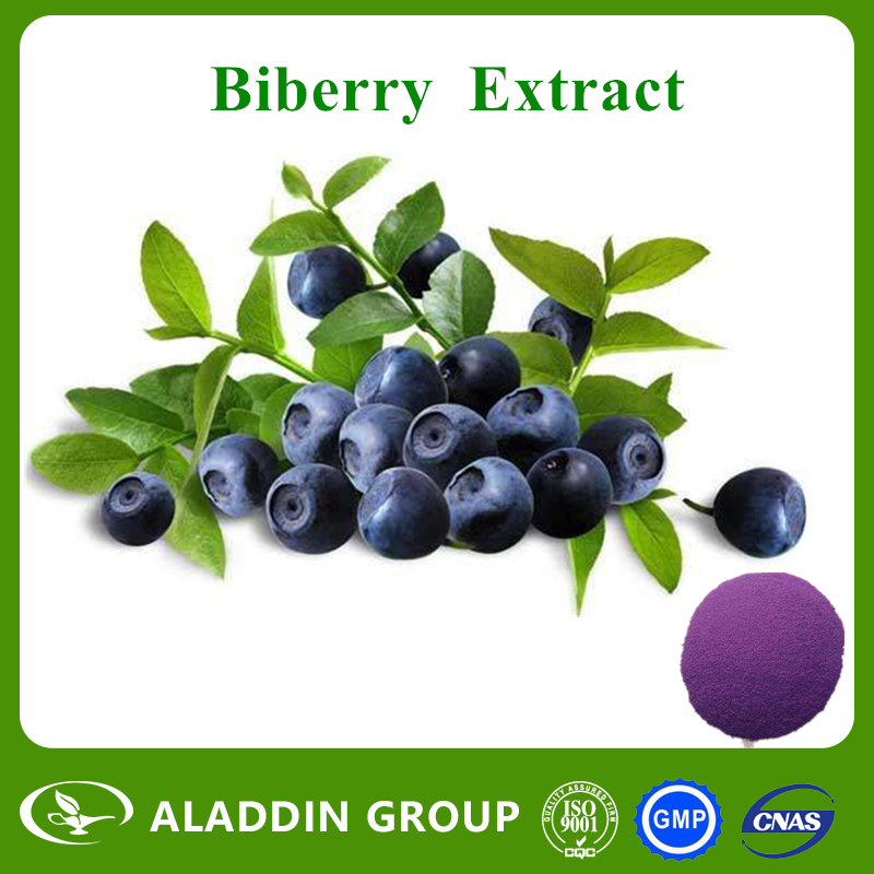  Bilberry Extract