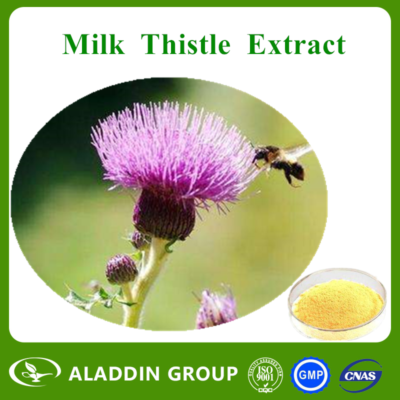 Milk Thistle Extract
