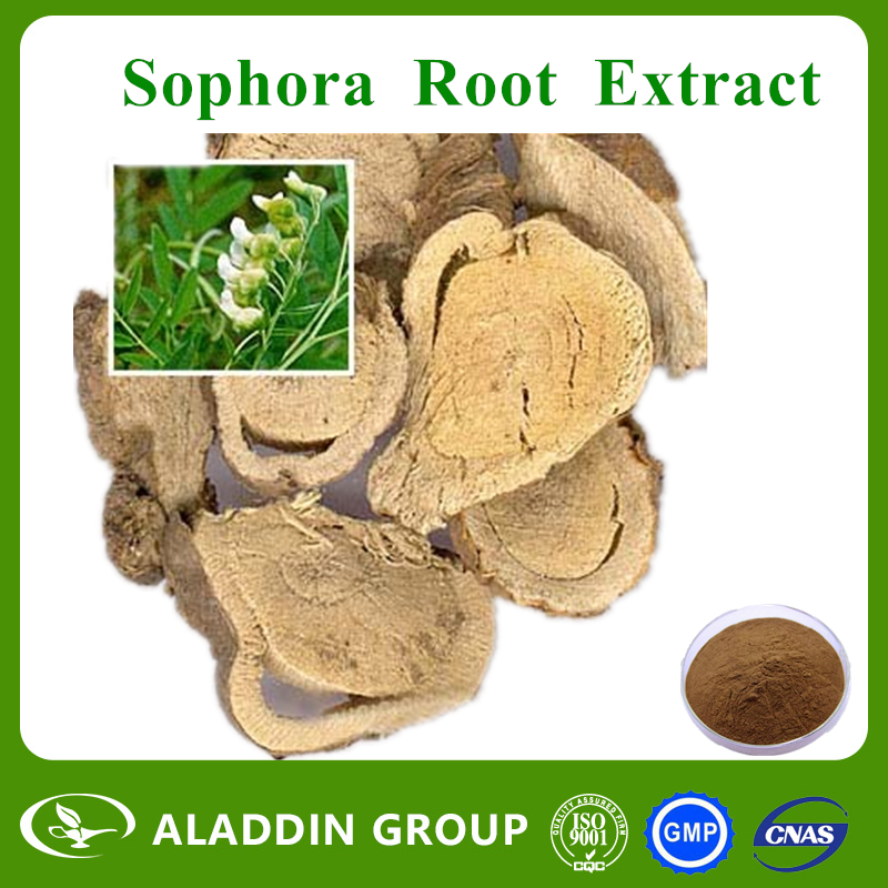 Sophora Root Extract