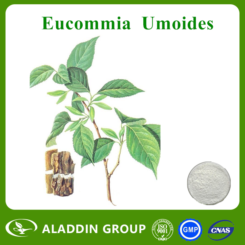 Eucommia Ulmoides Extract