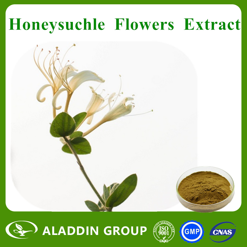  HoneySuchle Flowers Extract
