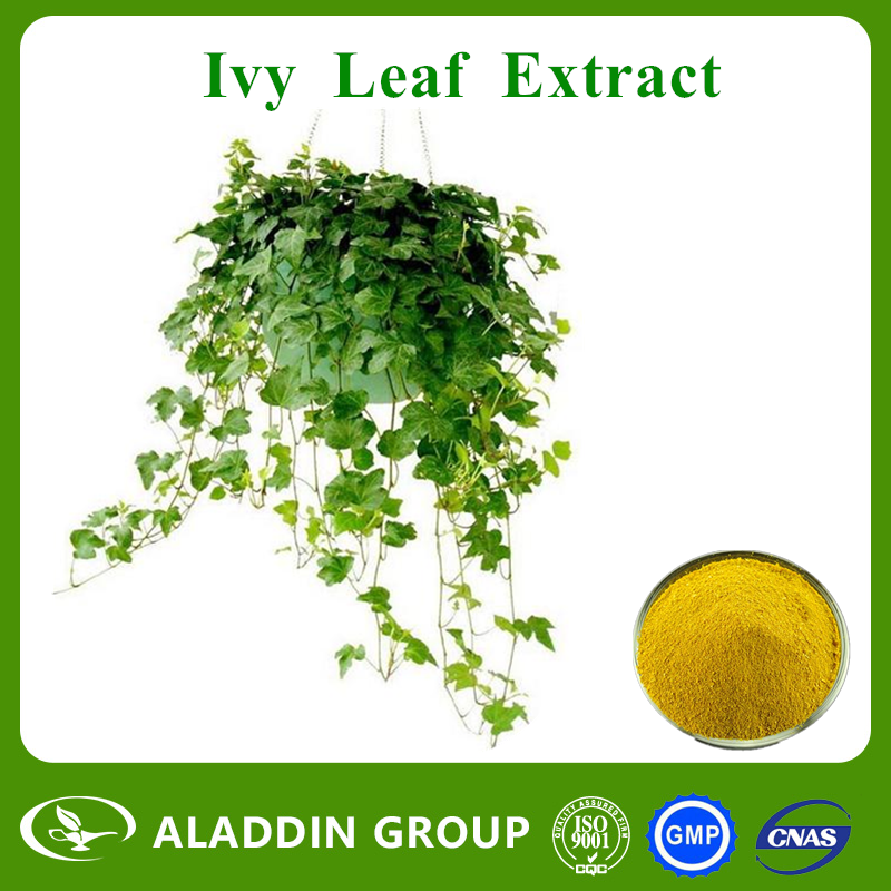 Ivy Leaf Extract