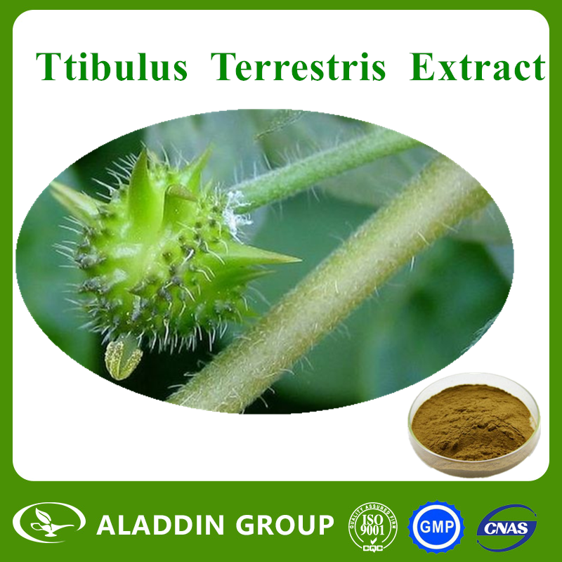  Tribulus Terrestris Extract