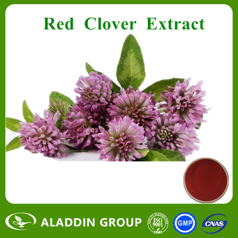Red Clover Extract