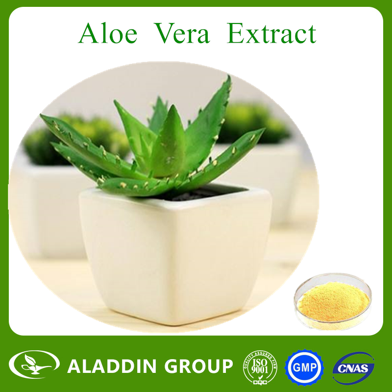 Aloe Vera Extract 