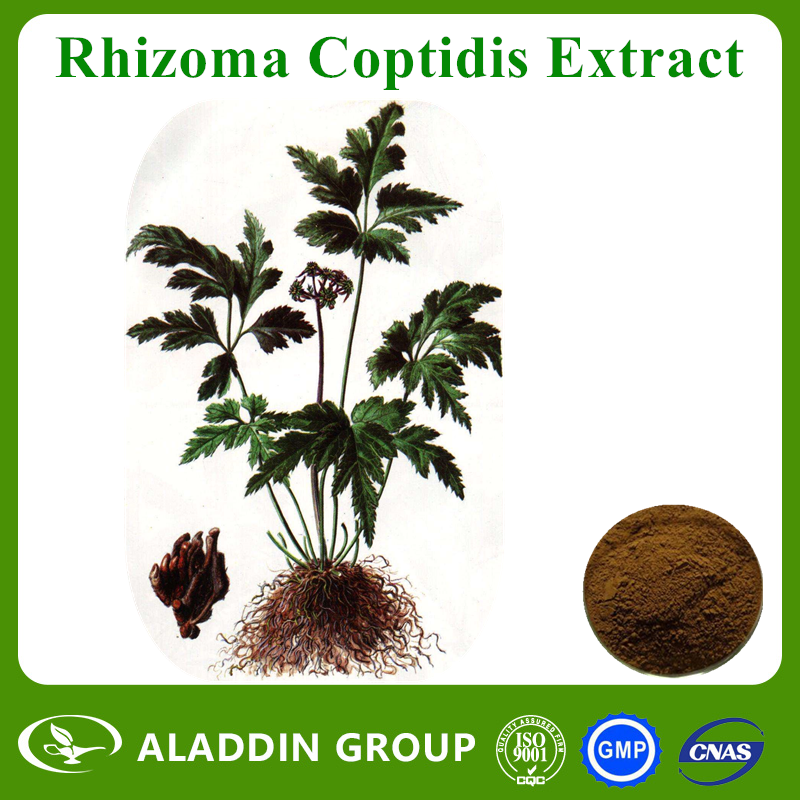Rhizoma Coptidis Extract