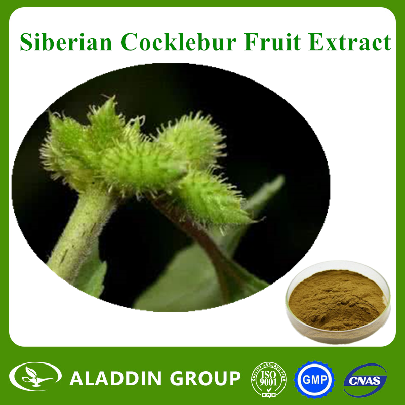 Siberian Cocklebur Fruit Extract