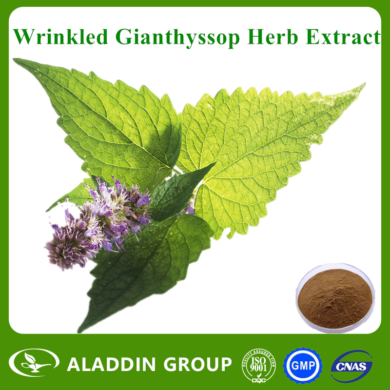 Wrinkled Gianthyssop Herb Extract
