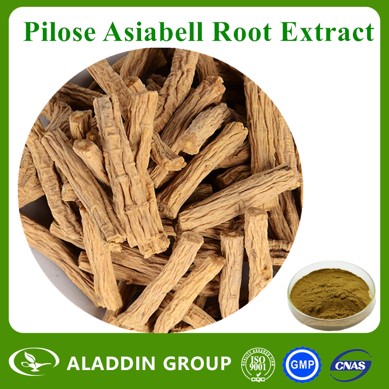 Pilose Asiabell Root Extract
