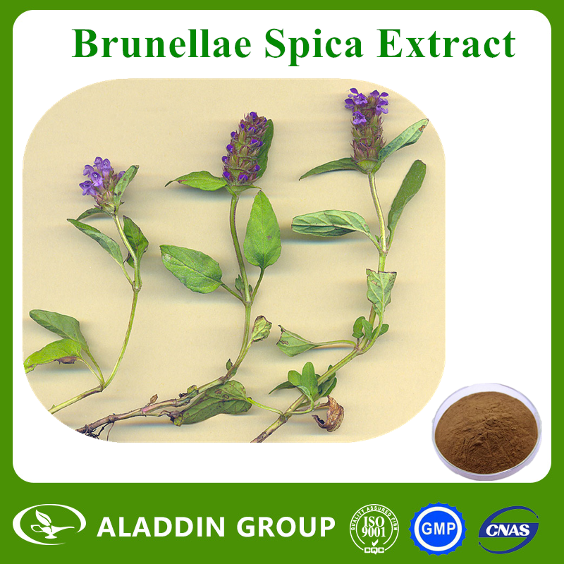 Brunellae Spica Extract