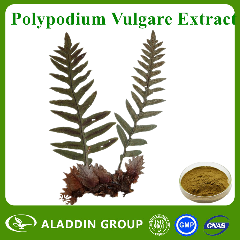 Polypodium Vulgare Extract