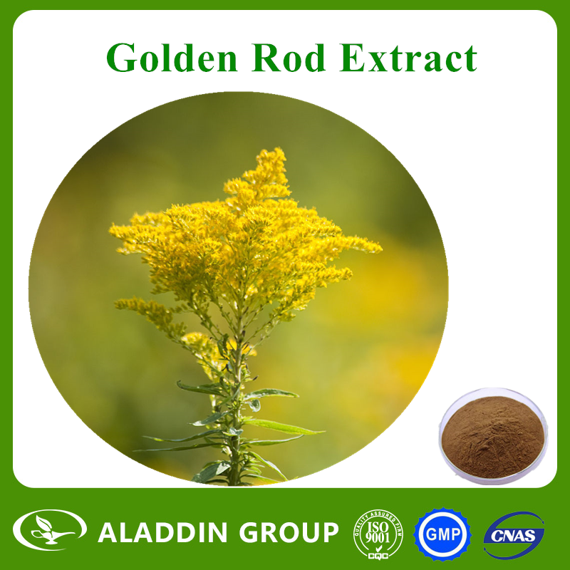 Golden Rod Extract