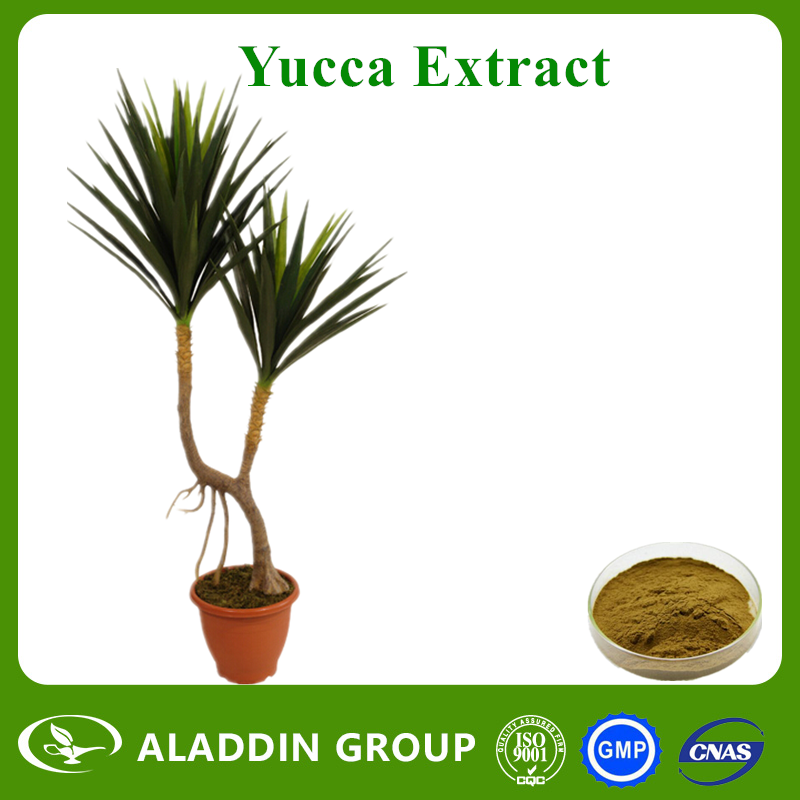 Yucca Extract
