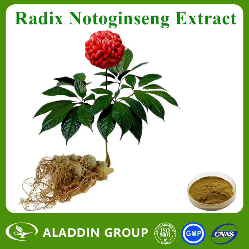 Radix Notoginseng Extract