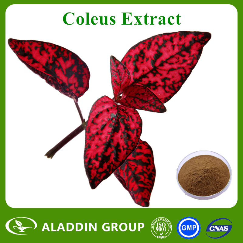 Coleus Extract