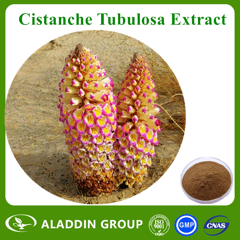 Cistanche Tubulosa Extract