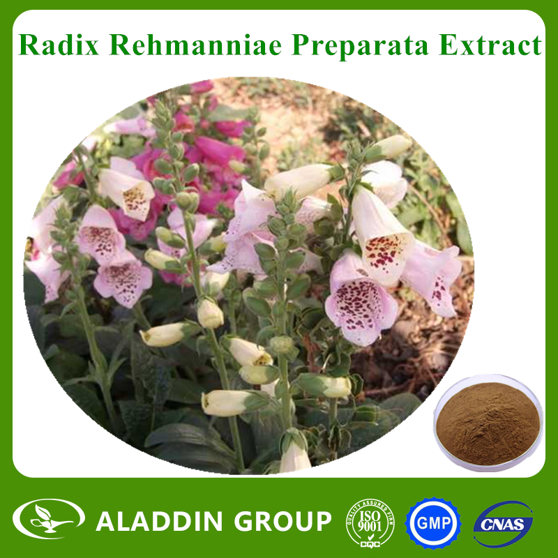 Radix Rehmanniae Preparata Extract
