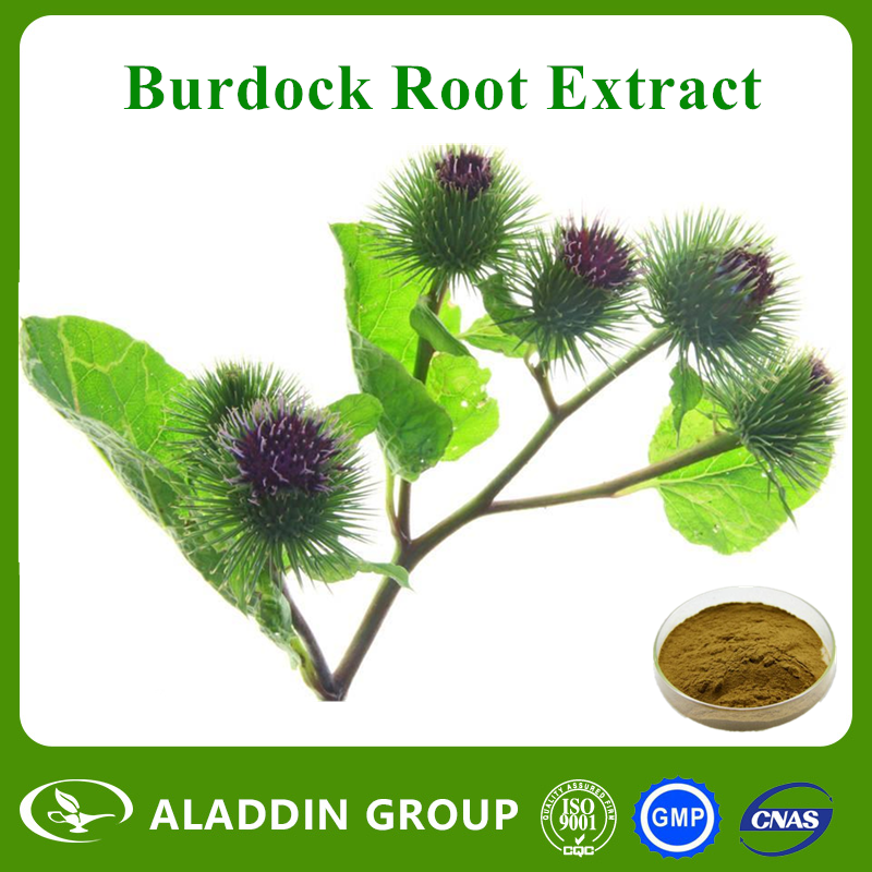 Burdock Root Extract