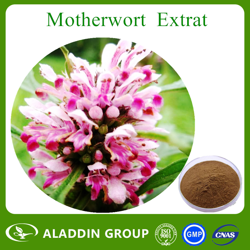 Motherwort Extract