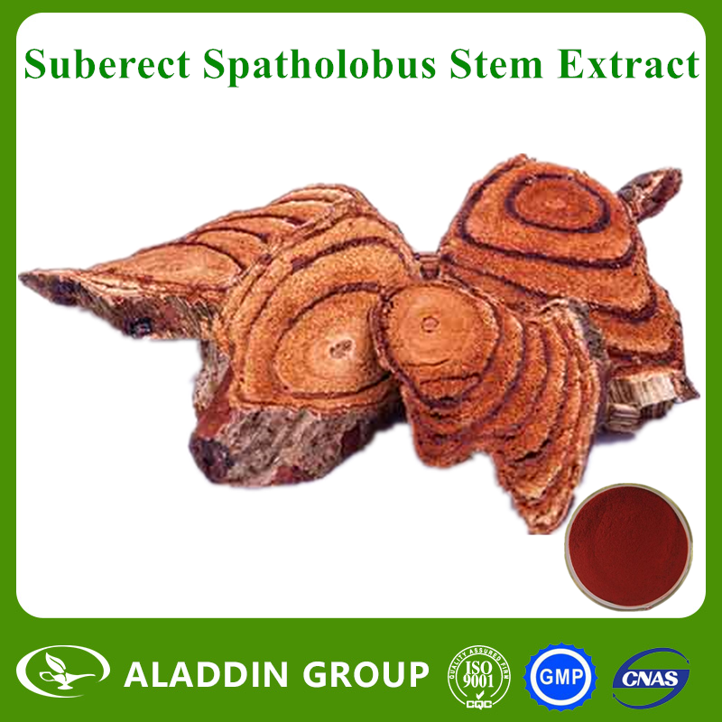 Suberect Spatholobus Stem Extract