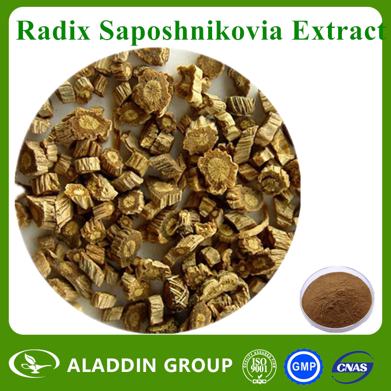 Radix Saposhnikovia Extract