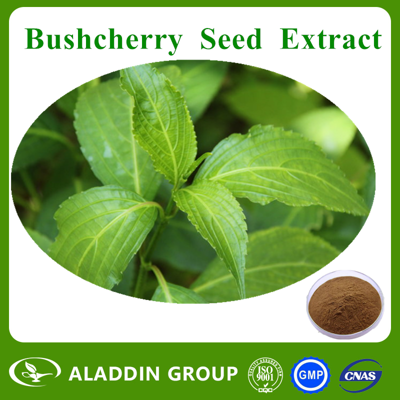 Bushcherry  Seed  Extract